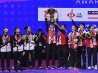 第十三次捧杯！苏迪曼杯赞助商德尔地板祝贺中国羽毛球队卫冕成功!